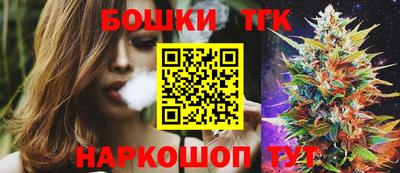 гашик Сланцы