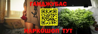 гашик Сланцы