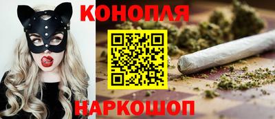 гашик Сланцы
