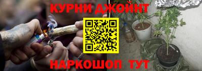 гашик Сланцы