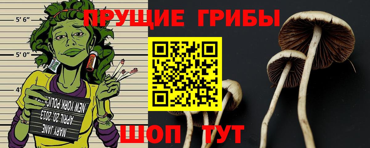 Псилоцибиновые грибы ЛСД  Псилоцибиновые грибы Psilocybine cubensis  Вход с VPN  Омск 