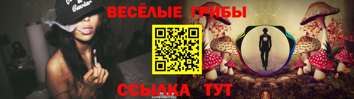 Галлюциногенные грибы Psilocybe Омск